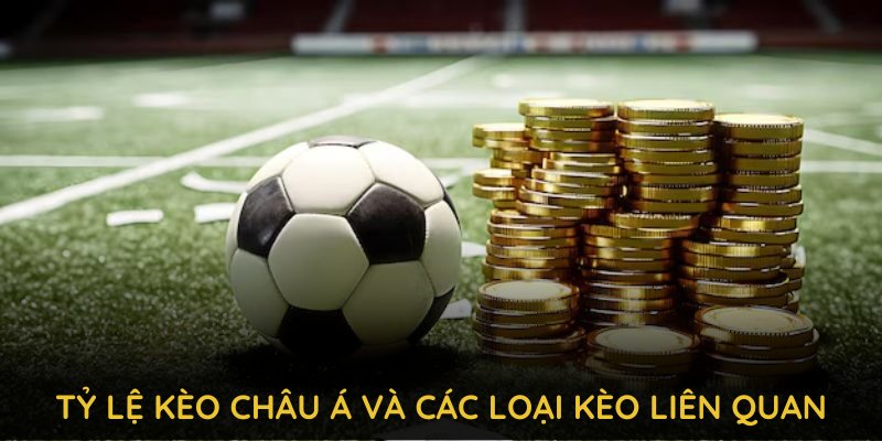 Tỷ lệ kèo châu Á v đáp ứng nhu cầu đa dạng của người chơi