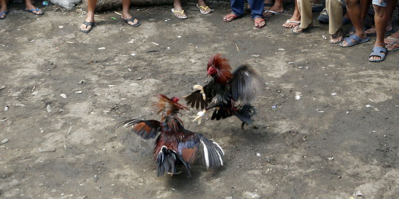 Bình luận siêu chuẩn